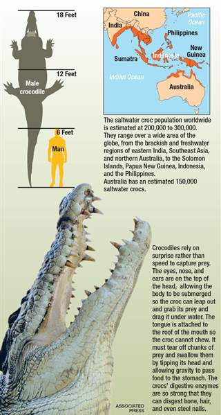 toledomagcrocs-vs-man