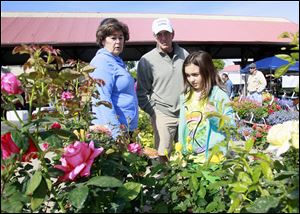 Young gardener Peyton Burnor, 9, looks for flowers with her grand-parents, Joanna and Jim Burnor, all of Toledo, during Flower Day Weekend at the Toledo Farmers' Market.