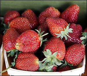 The U.S. Department of Agriculture says Ohio farmers planted 740 acres of strawberries in 2012 and harvested 660 acres.