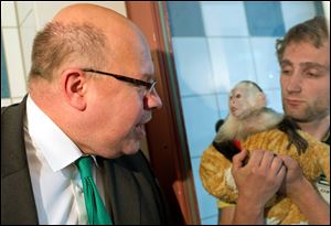 German Minister for Environment Peter Altmaier visits Justin Bieber's capuchin monkey Mally at the animal shelter Tuesday in Munich southern Germany.