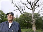 ‘We’ve lost them all,’ Bob Getz of rural Wood County says about the ash trees killed by the borer. The most painful loss was the ash that was about 100 years old.