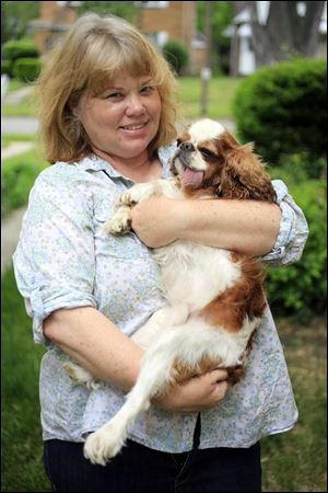 Liz Dickens holds her English toy spaniel, Winston, 7, at her home in Toledo. Winston suffered from frequent dislocations of his kneecaps, a common defect of smaller-breed dogs. One kneecap was fixed. Because the other kneecap defect is not as severe, Ms. Dickens is saving money for the second surgery.