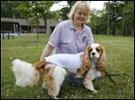  Tonya Wilhelm enjoys Strawberry Acres Park in Holland with her dog Dexter, 3. The Cavalier King Charles spaniel has a rare neurological disease, and his cooling jacket seems to help, she said.