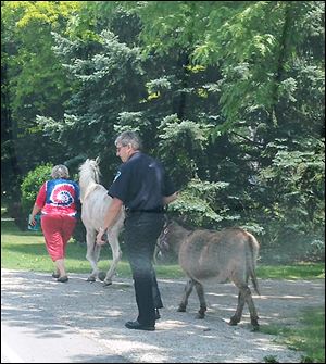Oregon Assistant Police Chief Paul Magdich has the donkey in custody while Kathy Holter of Oregon, owner of the animals, takes charge of the horse.