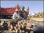  Potatoes are harvested at farm west of Idaho Falls , Idaho, in this September 2010 file photo.  A U.S. wholesale grocer says America's potato farmers are running an illegal price-fixing scheme, driving up spud prices while spying on farmers with satellites to enforce strict limits on how many tubers they can grow. 