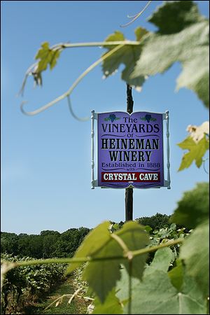 Bob and Mary Tebeau started Chateau Tebeau Winery on their 36-acre farm in Helena, Ohio, in 2008 after selling their nursing-home business.