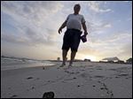  A small shell is embedded in a tar ball on the beach in Gulf Shores, Ala. After three years and $14 billion worth of work following the BP oil spill in the Gulf of Mexico, the petroleum giant and the Coast Guard say it's time to end extraordinary cleanup operations in Alabama, Florida and Mississippi.