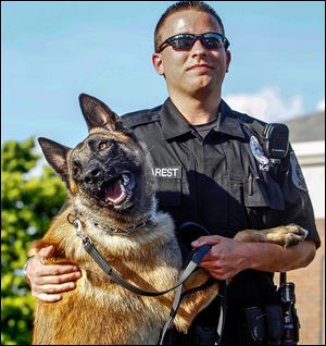 Speedy, Sylvania Township’s new police dog, and Officer Patrick Charest, his handler and partner, started their patrol on Friday. Speedy is Sylvania Township’s first police dog in nearly 10 years.