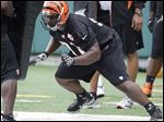  Cincinnati Bengals defensive tackle Geno Atkins hits a blocking pad during practice at NFL football minicamp, last Thursday.