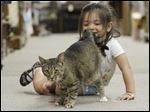  Anna Belair, 4, plays with Roy, who suffers from cerebellar hypoplasia, as he roams the American Heritage Antique Mall in LaSalle, Mich. Anna’s father, Dennis, is a dealer at the mall.