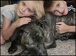  Tyler Bork, 10, and his sister Kayla Bork, 5, of Swanton, play with their mixed-breed dog, Bailey. A village ordi-nance requires muzzling Bailey when she’s in public.