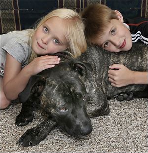 Tyler Bork, 10, and his sister Kayla Bork, 5, of Swanton, play with their mixed-breed dog, Bailey. A village ordi-nance requires muzzling Bailey when she’s in public.