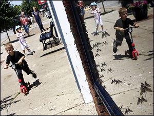 Mayflies accumulate on a downtown Port Clinton shop window where Logan Schiets, 5, of Oak Harbor, Ohio, rides his scooter. For most residents, the insects are a real nuisance.