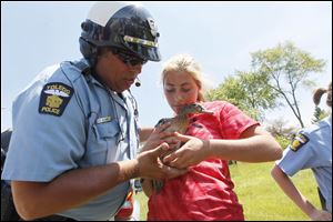 Motorcycle Officer Andre Antoine, left,  and his daughter Alexandra Antoine, right, inspect an injured  mother duck. Miss Antoine and her mother were taking the duck to Nature's Way.