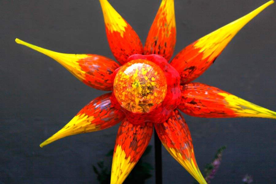 MAG-tbgsculpture11p-A-glass-flower