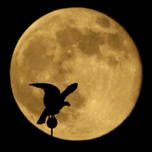 A full moon rises behind a statue of an eagle on top a flagpole at the Liberty Memorial World War I museum Sunday, in Kansas City, Mo. The so-called supermoon appeared up to 14 percent larger than normal as our celestial neighbor swung closer to Earth, reaching its closest distance early Sunday morning. 