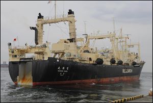 Japan's whaling ship Nisshin Maru leaves a port in Tokyo, for the water off Miyagi Prefecture, in March, 2011.