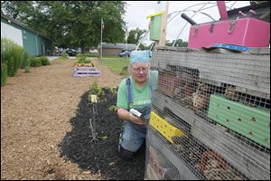 Karen Wood of Bowling Green readies an ‘insect hotel’ for Lucas County fair-goers to view. Girl Scouts and 4-H members helped build it as part of a Pollinator Garden at the Maumee fairgrounds.