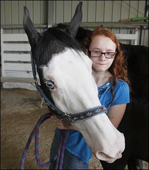 Sydney Arthur-Davis, 11, holds her blue-eyed paint Levi. A Stirrup-A-Bit 4-H club member, it is her first year to exhibit Levi and her third as a fair entrant.