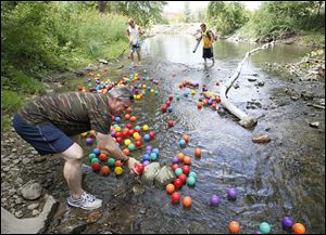 Steve DeMascio of Sylvania helps move balls down the creek during the annual River Ball Race. The event on Ten Mile Creek returns on Saturday.