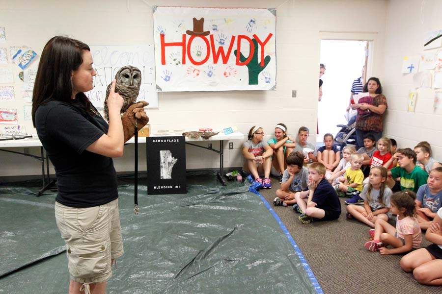 animal-camp-barred-owl-presentation