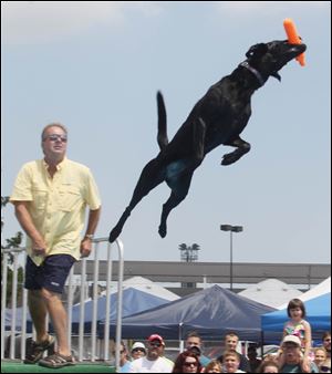 J.D. McKnight of West Milton, Ohio, watches as his black lab Stori launches from the platform. Storie went the farthest Sunday, soaring 26 feet, 2 inches.