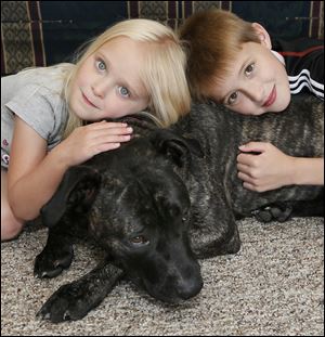 Tyler Bork, 10, and his sister Kayla Bork, 5, play with their pit bull 
