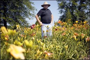 Jack Church stands amidst a portion of over 1,000 different varieties of daylilies, including hybridized  daylilies in Weston, Ohio.