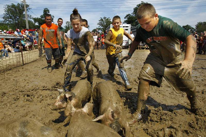 Ottawa-County-Fair-catching-pigs