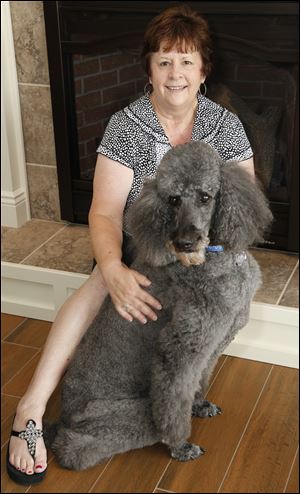 Standard poodle J.D., who is owned by Christine Heavner of Fremont, underwent a total hip replacement in 2008.