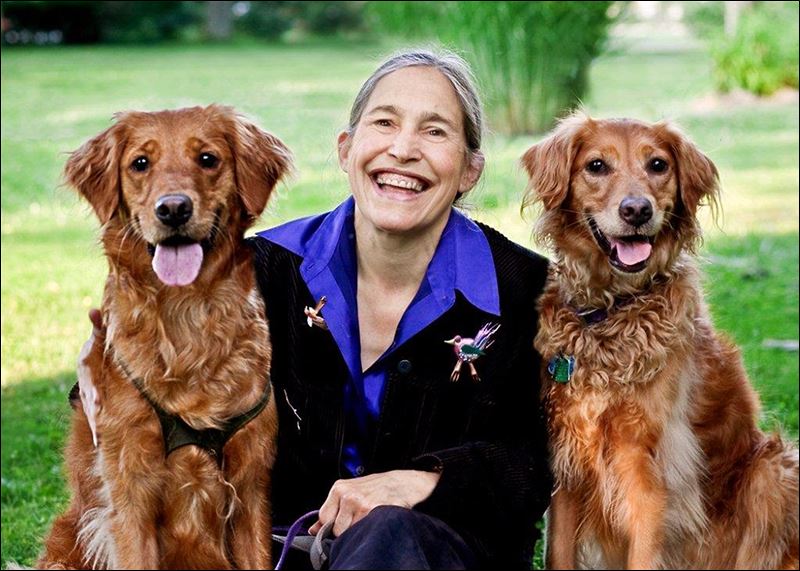 Healing Companions: Ordinary Dogs and Their Extraordinary Power to Transform Lives Jane Miller