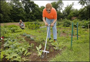 Mike and Nancy Goettner work their garden plot at King of Glory Lutheran Church. The plot has given them an opportunity to meet residents of nearby apartments as well as to grow their own vegetables.