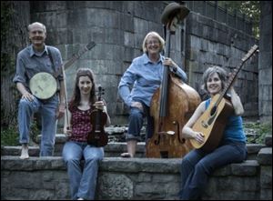 Cottonwood Jam String Band of, from left, Spencer Cunningham, Renata Burgett, Tahree Lane, and Marti Clayton.