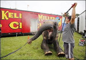 Armando Loyal gives Del Rita, an elephant, a bath before the pachyderm performs in the Kelly Miller Circus at Kelleys Island, Ohio. Monday was the first stop of a five-day area swing, with stops in Oregon, Sylvania, and Point Place.
