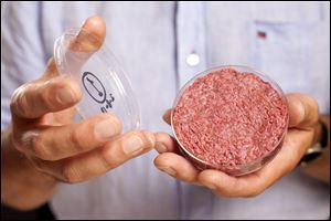 A new Cultured Beef Burger made from cultured beef grown in a laboratory from stem cells of cattle, is held by the man who developed the burger, Professor Mark Post of Netherland's Maastricht University, during a the world's first public tasting event for the food product in London.