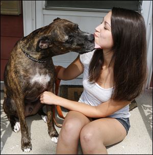 Sarah Landesman, with her dog Rowdy, fell ill with flulike symptoms after a tick had jumped from Rowdy onto Ms. Landesman. While the Toledo woman uses a topical tick repellent on the dog, she still suffered a mild case of Lyme  disease.