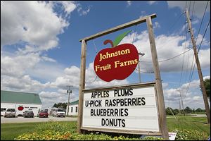 Johnston Fruit Farms in Swanton drew a large contingent of pickers until the trend peaked in the late 1970s and early 1980s. Recently, the owners say, foot traffic in their fields has increased. 