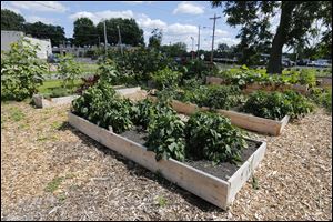 Raised garden beds at the TMA.