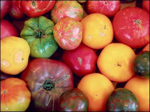 A wide assortment of tomatoes.