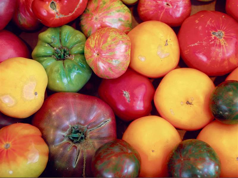 A-wide-assortment-of-tomatoes