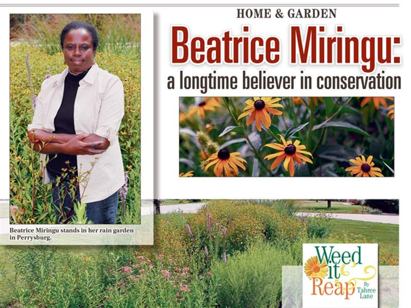 Weed-It-And-Reap-Beatrice-Miringu