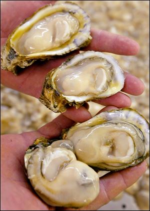 Walt Churchill’s Market at 3320 Briarfield Blvd. in Monclova Township will hold its third annual Oyster Blast on Saturday from 1-4 p.m. Appropriate wines will be served with oysters — or grilled sausages, if  you prefer.