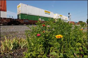 Zinnias and marigolds grow in Bev Newell's train track garden.