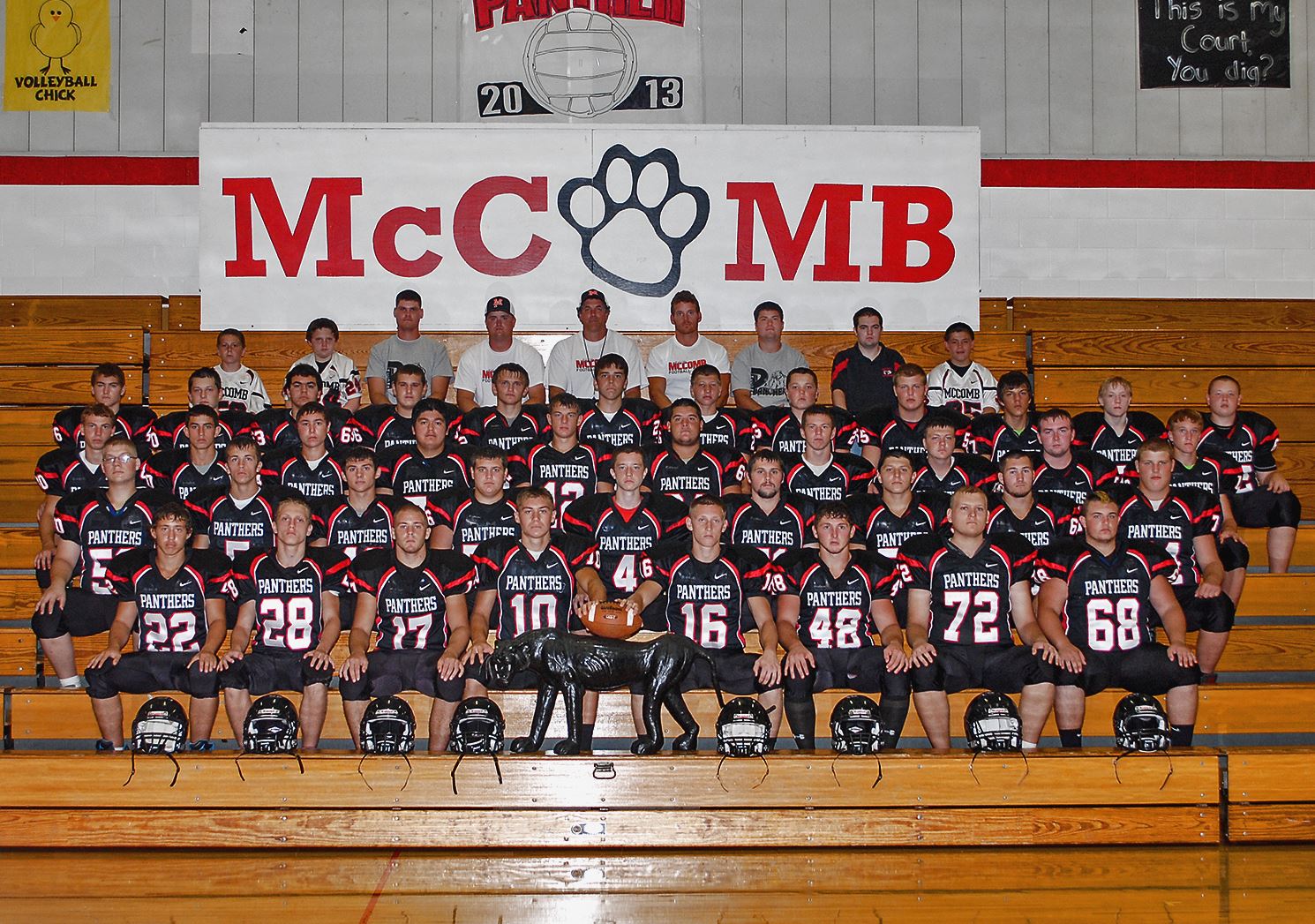 Panthers The Blade