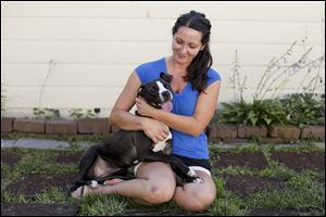 Krista Parker of Toledo holds Sheridan, a 'pit bull' mix she is fostering for the Lucas County Pit Crew at her home.