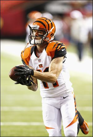 Cincinnati Bengals Wide Receiver Dane Sanzenbacher in action during a game against the Atlanta Falcons.