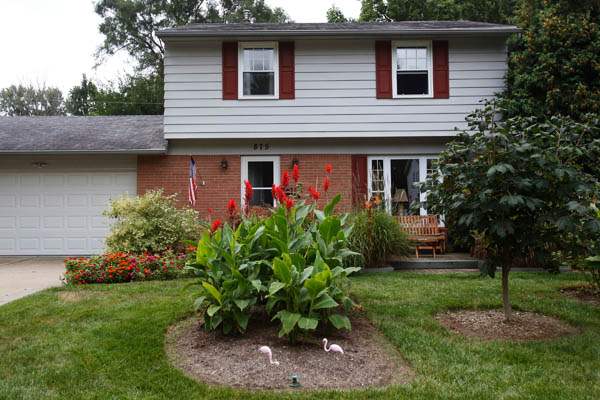The-front-yard-features-red-canna-flowers