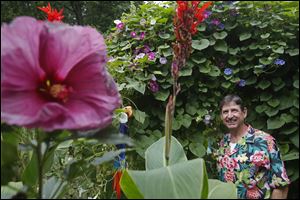 Bill Albert has cultivated an exotic oasis in the backyard of his Waterville home. Left, hibiscus; center, canna. Right: That's Bill!