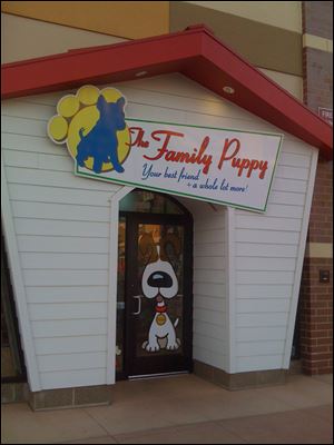 The Family Puppy Store, a pet shop that sells only dogs, is accused by animal rights groups of buying animals from ‘puppy mills.’