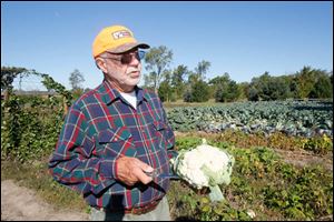 David Moenter with a white cauliflower he's just cut. He sells at the Bowling Green and Pemberville farmers' markets. 